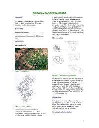 Image result for Chironia