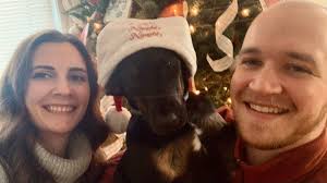 Marissa DeCaro and Jonathan Brice's Wedding Website