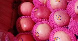 We did not find results for: Indonesia Masih Andalkan Impor Buah Apel Anggur Dan Obat Obatan Asiatoday Id