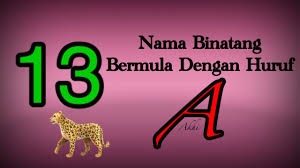 Walau gaddis merupakan orang pertama yang menggunakan istilah segitiga bermuda, sosok yang berperan membuat perairan. Nama Binatang Bermula Dengan Huruf A Youtube