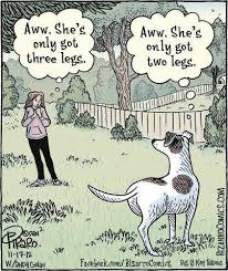 Just A Matter Of View Bizarro Comic Animal Quotes Dog Quotes