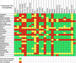 Ram Cichlid Compatibility Chart Www Bedowntowndaytona Com
