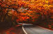 Vermont Ski Resorts