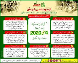 Ehsaas Emergency Cash Program Online Registration In 2020 Cash Program Check And Balance Online Checks