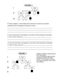 Maybe you would like to learn more about one of these? Pedigree Practice By Biology Roots Teachers Pay Teachers