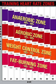 training heart rate zones chart bright