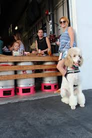 In fact, this was one of the first places i would frequent when i … 6 Dog Friendly Restaurants In Huntington Beach