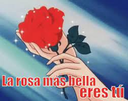 La Rosa Mas Bella Eres Tu Gif Una Rosa Flor Frases De Amor Discover Share Gifs