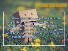 Perbedaan kerja otot dan tulang sebagai alat gerak pada tubuh manusia 1. Sifat Gerak Otot Untuk Menghasilkan Suatu Gerak Otot Bekerja Berpasangan Dengan Otot Lain Saat Suatu Otot Berkontraksi Maka Otot Yang Bersangkutan Akan Ppt Download