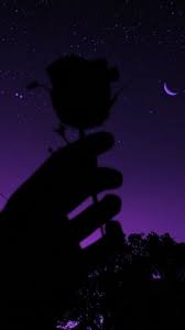 Dark purple aesthetic violet aesthetic lavender aesthetic aesthetic colors aesthetic collage aesthetic pictures aesthetic pastel. Purple Aesthetic Wallpaper Dark Purple Wallpaper Dark Aesthetic Purple Aesthetic Wallpaper Minimal Photo Colours Violet Trends Aundrea Harter
