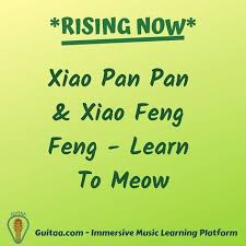 Rising Now Xiao Pan Pan Xiao Feng Feng Learn To Meow Learn It Now Http Bit Ly 2hstib1 Guitaa Guitar Songs Learning Music Lovers