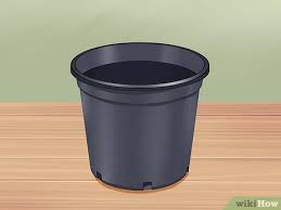 We did not find results for: How To Grow Four O Clock Flowers With Pictures Wikihow