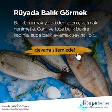Ruyada Balik Gormek Ne Anlama Geliyor 2020 Balik Ruya Yorum