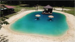 Skip The Pool And Turn Your Backyard Into An Oasis With A Beach Style Pond Realty Times Backyard Beach Pool Backyard