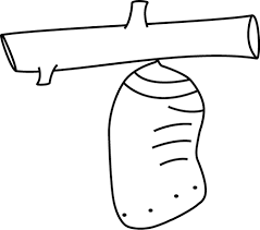 We did not find results for: Black And White Butterfly Chrysalis Clip Art Black And White Butterfly Chrysalis Image Black And White Butterfly Butterfly Chrysalis Clip Art Black And White