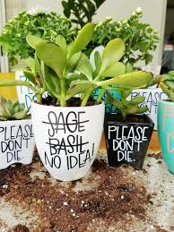 No Idea What Kind Of Plant You Have Growing At Your House No Problem This Ceramic Planter Is Perfect For The Casual Gardener Or T Plants Plant Puns Planters