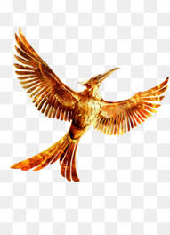 Read 99,419 reviews from the world's largest community for readers. Hunger Games Catching Fire Png And Hunger Games Catching Fire Transparent Clipart Free Download Cleanpng Kisspng