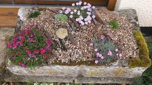 Making An Alpine Crevice Garden And What Happened Nextthis Is An Extended Version Of The Original Video In Which Christ Rock Garden Flower Pots Garden Floor