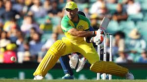 A cricket lighter lights every time for up to 2000 times during its lifetime cycle. Australia Vs India Cricket News Ian Chappell Calls For Switch Hit Ban Spicier Pitches In Odis