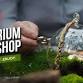 Terrarium Workshop Date - Bangalore event image