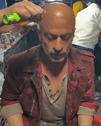 Bushra Ansari's Past and Work