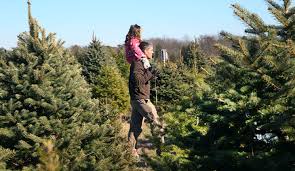 Maybe you would like to learn more about one of these? Christmas Trees Big Business For South Jersey Latest Headlines Pressofatlanticcity Com