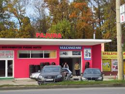 Auto levanto timisoara service alfa romeo multimarca. Pajura Din TimiÈ™oara
