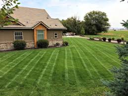 We can lay sod and pavers. About Us