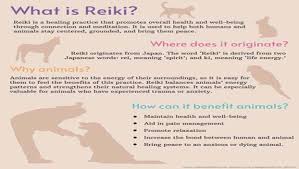 Animals and house pets respond very well to holistic energy healing. State Animal Communicators Help Heal People Pets The Stanly News Press The Stanly News Press