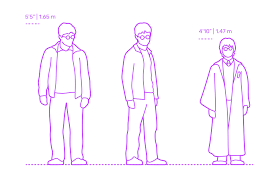 While he was played by quite a short actor in the movies, in the books, he has had quite a few significant growth spurts. Harry Potter Dimensions Drawings Dimensions Com