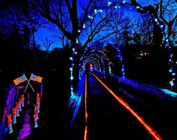 Here Are The Top 10 Christmas Towns In Georgia They Re Magical Garden Of Lights Enchanted Garden Rock City Chattanooga