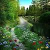 Feel free to download all of these desktop background pictures of nature for free. Https Encrypted Tbn0 Gstatic Com Images Q Tbn And9gctqygeegoptaokei5yb6 Yn0sb93kkpqnrgujhbytkv3 Yho369 Usqp Cau