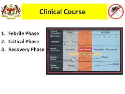 Tuberculosis (tb) is an infectious disease usually caused by mycobacterium tuberculosis (mtb) bacteria. Dengue Infection 1 St Encounter Cpg Mx Of