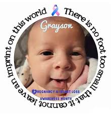 These three female tiger cub cuties need names! Submit your suggestions  through the link below:  https://www.littlerockzoo.com/care-for-animals/tiger-cub-name-suggestions/  from now until the end of the week. Only suggestions sent through the link  will be