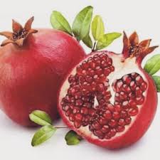 Check spelling or type a new query. à¸ž à¸Šà¸— à¸šà¸— à¸¡ Pokok Delima Shopee Malaysia