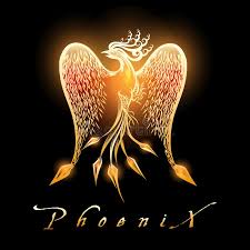 According to ancient mythology, the phoenix bird is an immortal bird that is reborn from its ashes. Burning Phoenix Bird On Black Background Stock Vector Illustration Of Flame Concept 120833187