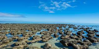 Sebagai pengganti pasir pada lokasi proyek dengan kondisi yang tak memiliki kesediaan pasir yang cukup untuk pengerjaan, abu batu dapat berfungsi. Mengintip 5 Keajaiban Alam Benua Australia Halaman All Kompas Com