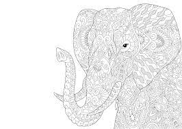 768 x 1024 jpg pixel. Kleurplaat Olifant 70 Kleurplaten Van Makkelijk Tot Moeilijk