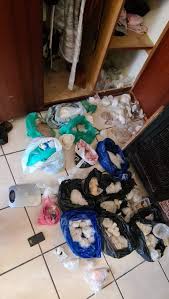 But may be you misunderstood. Minister Witnesses Bloemfontein Drug Bust The Free Stater
