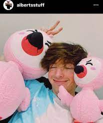 S p o n s o r e d. Flamingo Albertsstuff Amino