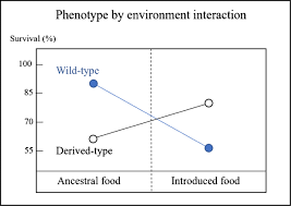 Turns an unsecure link into an anonymous one! Artificial Selection Of Insects To Bioconvert Pre Consumer Organic Wastes A Review Springerlink