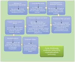 Image result for Cholinergic Toxicity