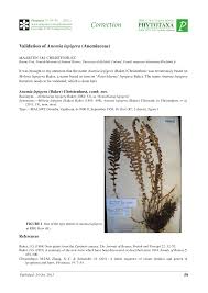 Image result for Mohria lepigera