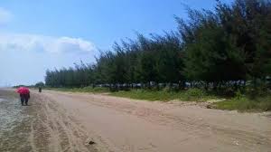 Terletak di wilayah desa gedong mulyo, kecamatan lasem, kabupaten harga tiket masuk (htm) ke kawasan wisata pantai caruban, rp 3ribu untuk pengendara sepeda motor dan rp 8ribu untuk kendaraan roda empat. 27 Tempat Wisata Rembang Terbaru Lagi Hits 2021 Ranggawisata