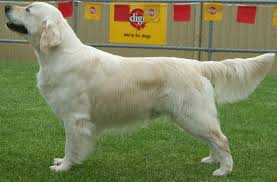 Maybe you would like to learn more about one of these? Grooming