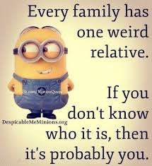 101 funny riddles for kids with answers: Top 30 Funny Minion Quotes Funny Minions Memes