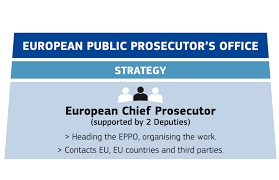Walki z korupcją (dna), zostanie prokuratorem europejskim. Eu Public Prosecutor S Office Eppo Council Confirms Laura CodruÅ£a Kovesi As First European Chief Prosecutor Consilium