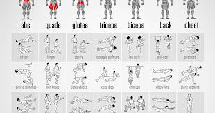 download bodyweight exercise pdf bodyweight exercises