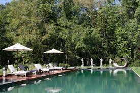 Bio landscape and maintenance in houston, reviews by real people. Bio Nova Natural Swimming Pool Transitional Swimming Pool New York By Artemis Landscape Architects Inc Houzz