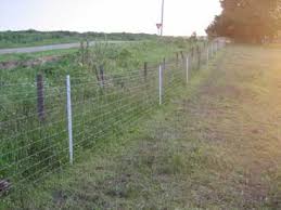 We did not find results for: The Best Electric Fence You Can Build Pasturepro